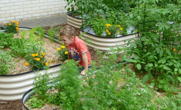 A young visitor enjoys the Pilgrim Uniting Church community garden. This photo was taken by Peter Russell and used with permission.